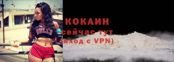 apvp Инсар