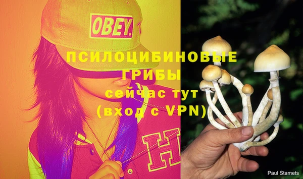 синтетический гашиш Каменка