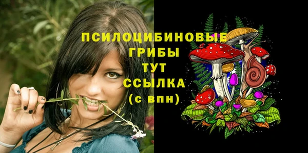 Альфа ПВП Каменногорск