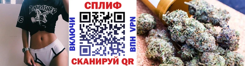 Бошки Шишки планчик  Купить закладки  Будённовск 